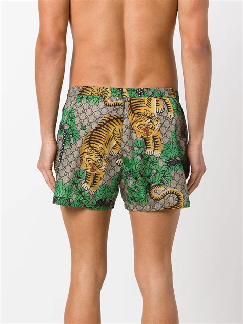 mens gucci bengal shorts